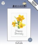 Daffodils card kit front